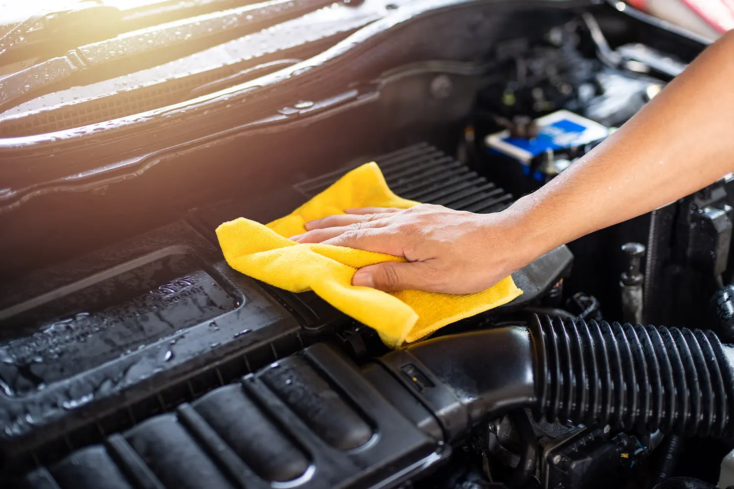 How To Clean Your Cars Engine Bay 8 Dos and Don ts To Observe Shine Armor 1686930119836